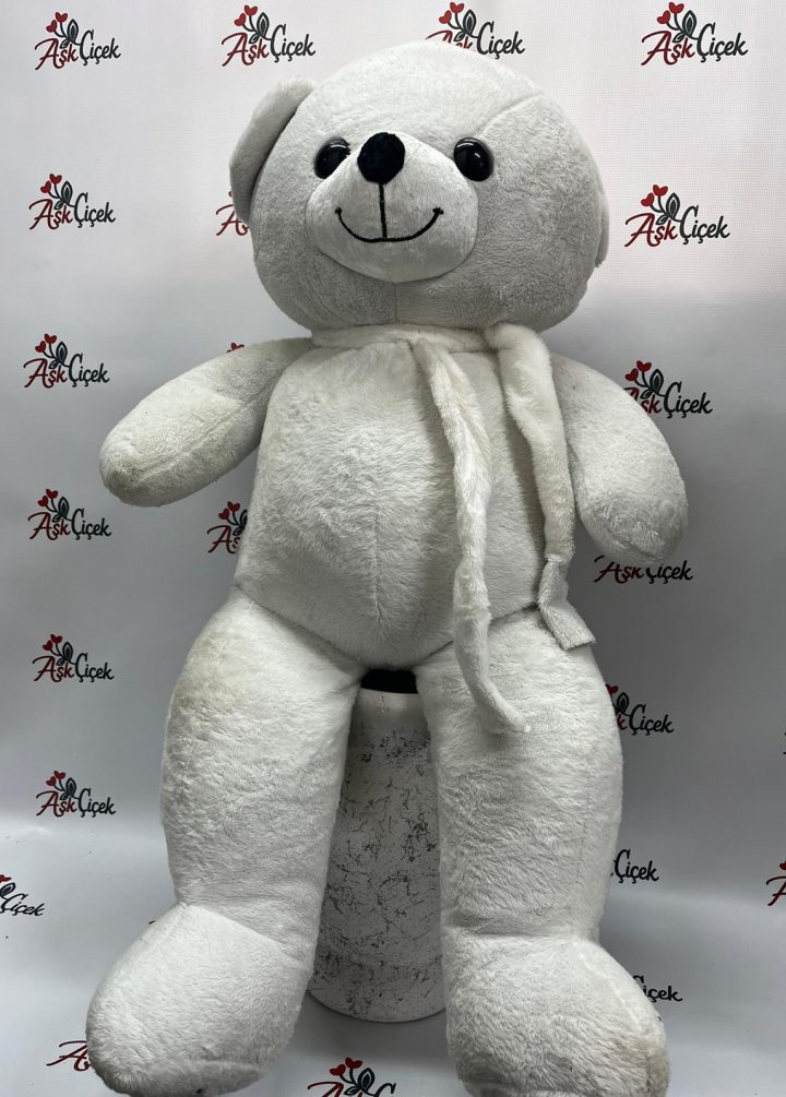 Beyaz Büyük Ayıcık