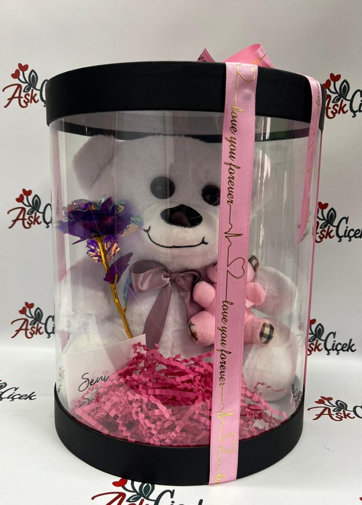 Kutuda Beyaz Ayıcık