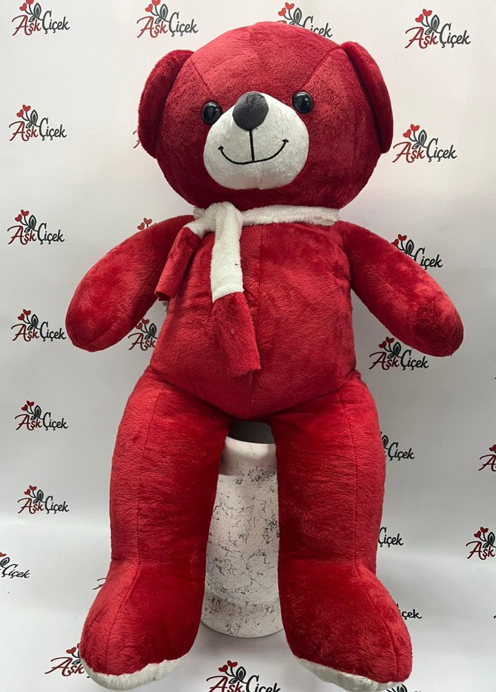 Kırmızı Büyük Ayıcık