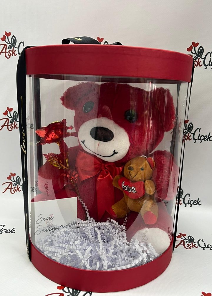 Kutuda Kırmızı Ayıcık